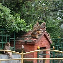 India & Nepal 2011 - 0374